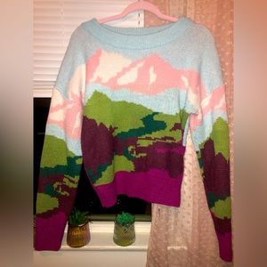 Women’s size Large colorful sweater